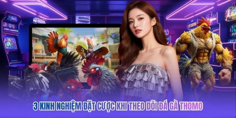 3 kinh nghiệm đặt cược khi theo dõi đá gà Thomo