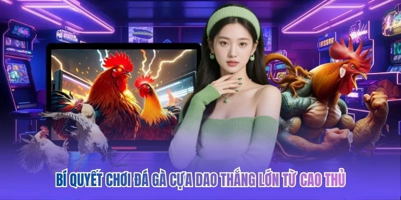 Bí quyết chơi đá gà cựa dao thắng lớn từ cao thủ