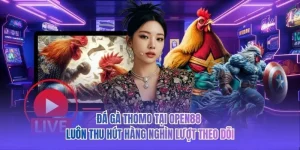 Đá Gà Thomo Tại OPEN88 Luôn Thu Hút Hàng Nghìn Lượt Theo Dõi