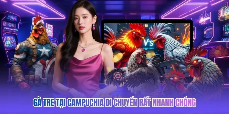 Gà tre tại Campuchia di chuyển rất nhanh chóng