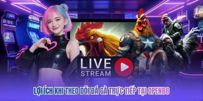 Lợi ích khi theo dõi đá gà trực tiếp tại OPEN88