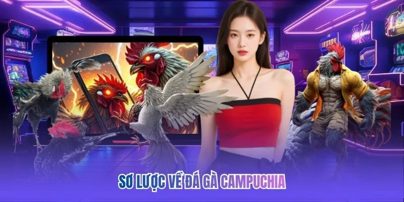 Sơ lược về đá gà Campuchia