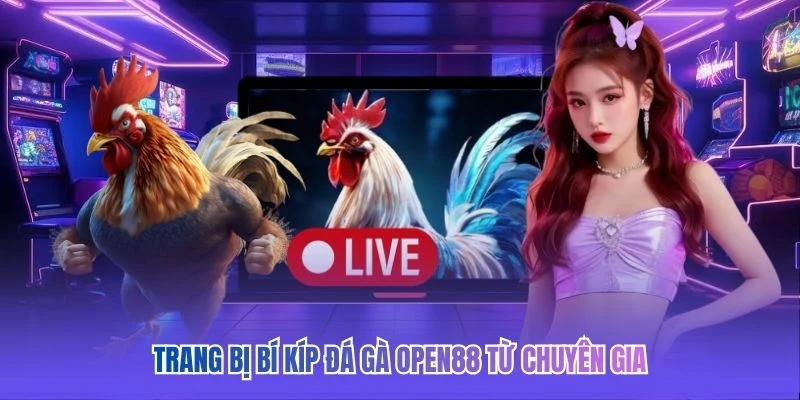 Trang bị bí kíp đá gà OPEN88 từ chuyên gia